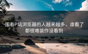围着P站浏览器的人越来越多，谁看了都很难装作没看到