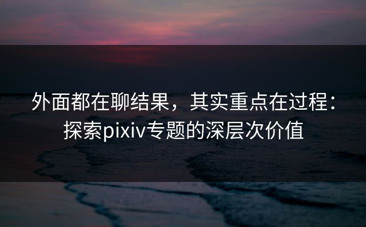 外面都在聊结果，其实重点在过程：探索pixiv专题的深层次价值