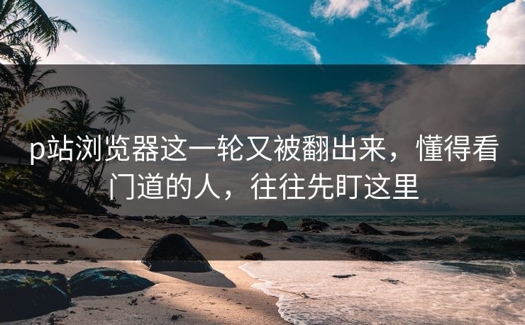 p站浏览器这一轮又被翻出来,懂得看门道的人,往往先盯这里 p站浏览器这一轮又被翻出来,懂得看门道的人,往往先盯这里